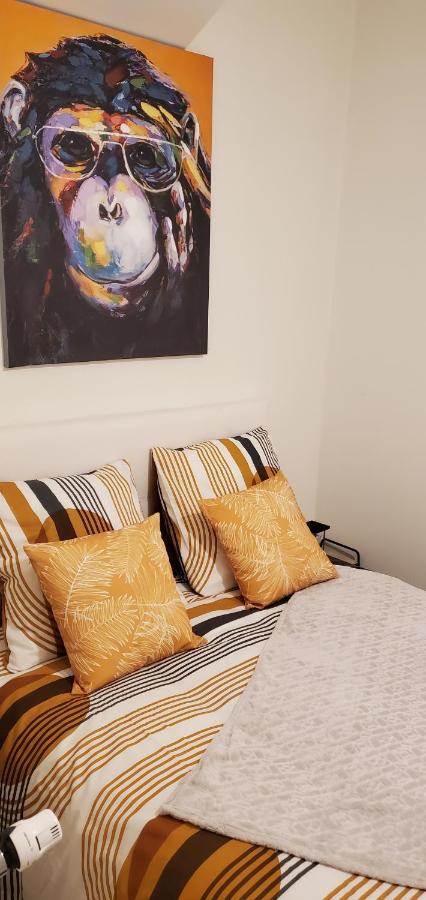 Triangle D'Or - Calme Et Cosy, Appartement 1 Chambre แซ็ง-ก็องแต็ง ภายนอก รูปภาพ